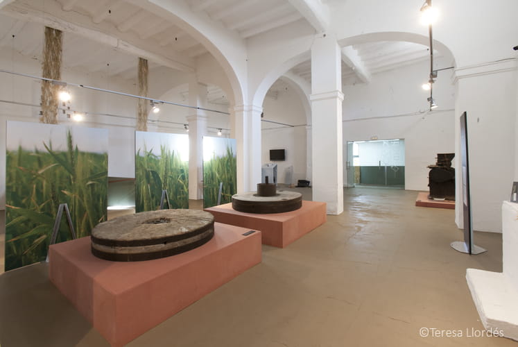 Farinera de Castelló d'Empúries