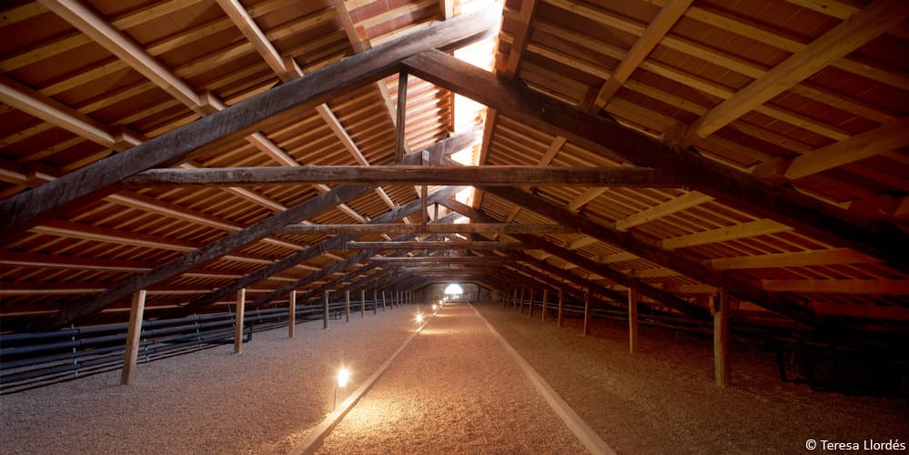 Ca l'Arenas - Can Fàbregas del Paper