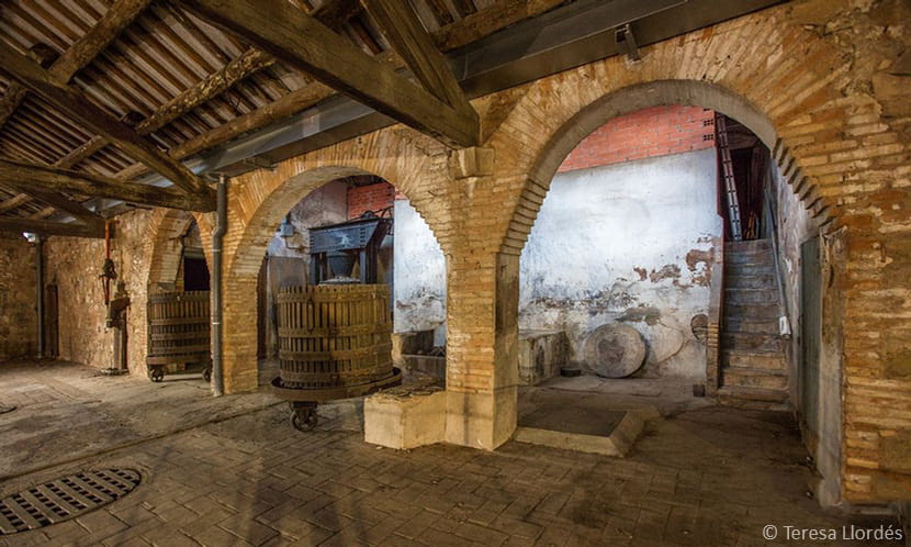 Celler del Sindicat de Vinyaters d’Igualada