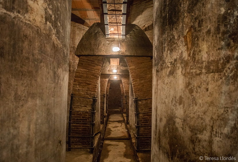 Celler del Sindicat de Vinyaters d’Igualada