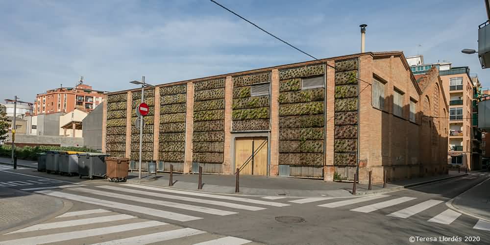 Celler Cooperatiu de Rubí