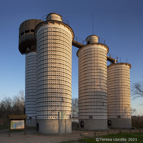 Sitges arrosseres del Mas del Matà