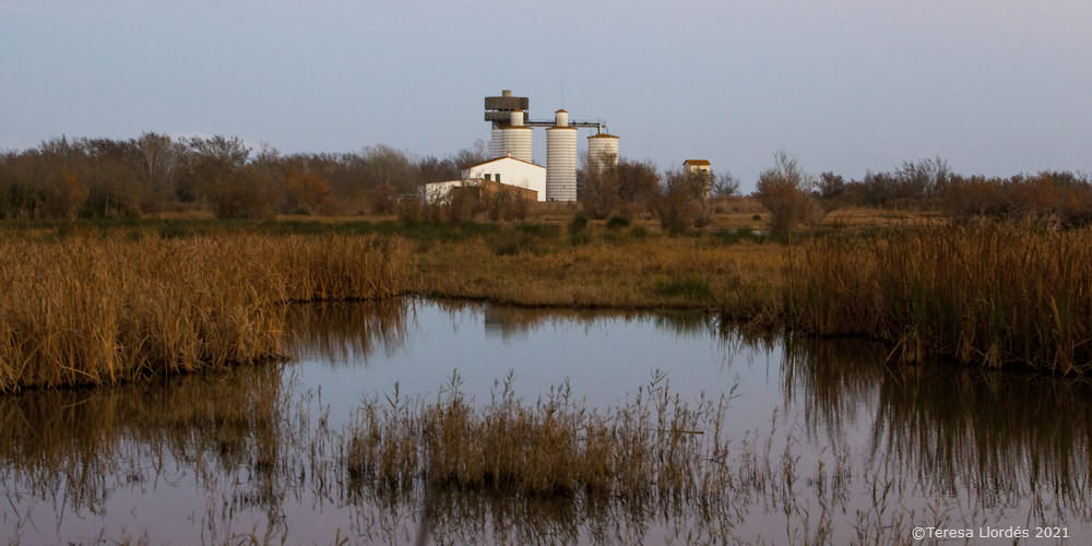 Sitges arrosseres del Mas del Matà
