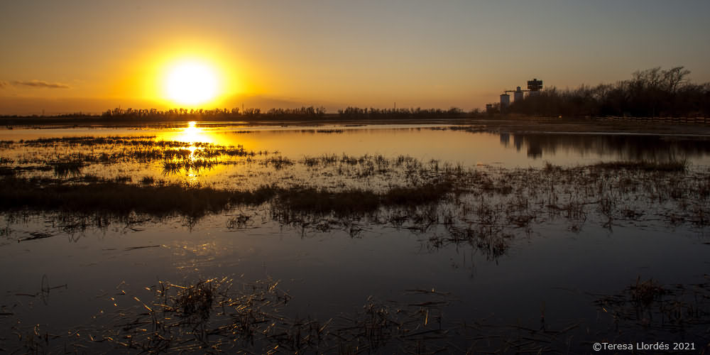 Sitges arrosseres del Mas del Matà