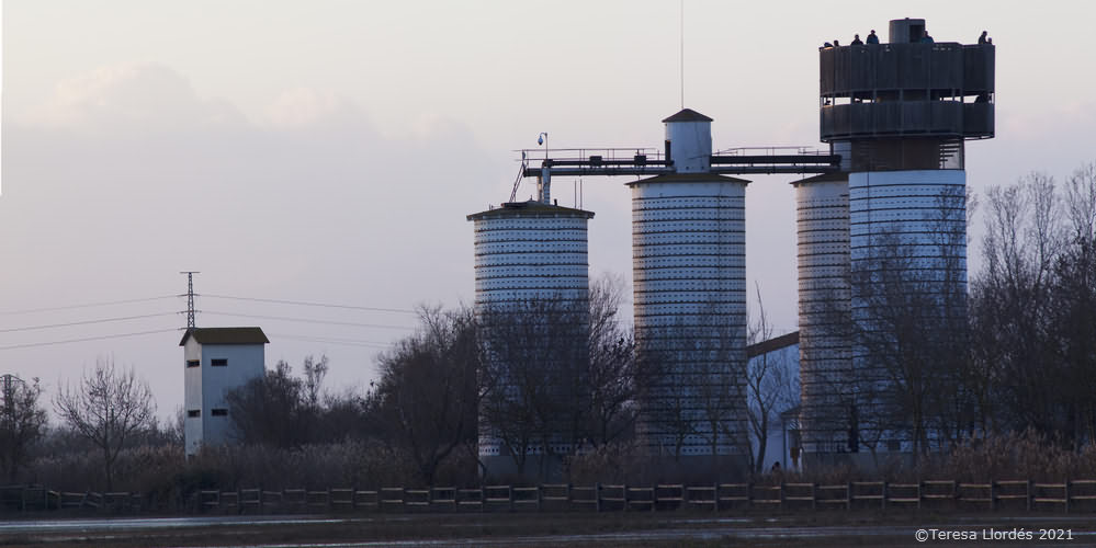 Sitges arrosseres del Mas del Matà