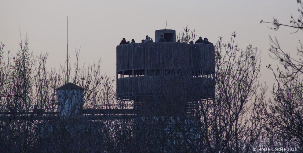 Sitges arrosseres del Mas del Matà